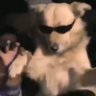 Profilbild von Drogui