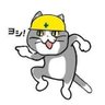 たむ profil fotoğrafı