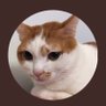 Profilbild von sam013243