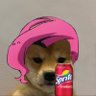 Infernape's profile picture