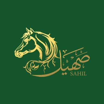 sahilhorse's profile picture
