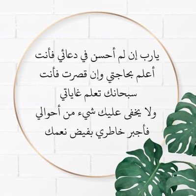 Enghabeeb7's profile picture
