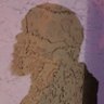Profilbild von PureDScience