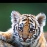 May Garcia's profile picture