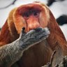 Ange m@thieu profil fotoğrafı