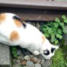 球 profil fotoğrafı