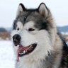 Jon's profile picture