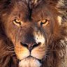 EmperorLion profil fotoğrafı