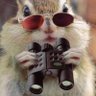 Profilbild von Kypifo