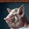 Charismatic Pig 的头像