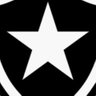 Botafogo neles ! ★彡's profile picture