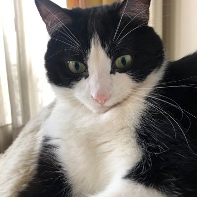 Franck Michel's profile picture