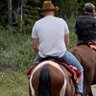 Steve Hass's profile picture
