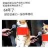 星星之火 profil fotoğrafı