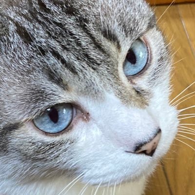 gamsic's profile picture