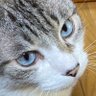 Profilbild von ささ木