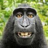 Profilbild von Cpl__1987