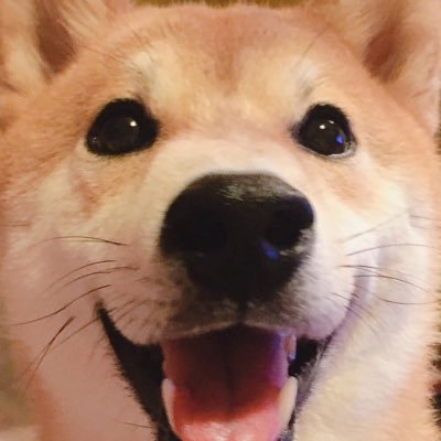 すずき栗太郎🌰's profile picture