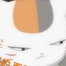 flying cat's profile picture