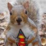 The Fast Squirrel profil fotoğrafı