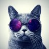 Gato Lisergico 的头像