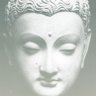 Nostradamus 的头像