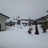 North_Pole 的头像
