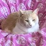 jan3threez's profile picture