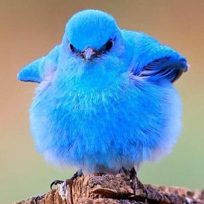 これでいいのだd( ̄  ̄)'s profile picture