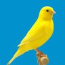 Profilbild von i_am_Absoulho🦅👮♀️
