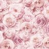 Фото профиля Flowerbomb212