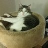 TexasDavy52's profile picture