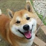 Profilbild von 凶暴パンツ