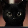 タマ's profile picture