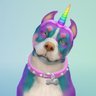 ErinPlaysSims profil fotoğrafı