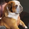 DAWG profil fotoğrafı