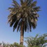 Фото профиля عاشق الطبيعة