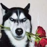 PeiYan's profile picture