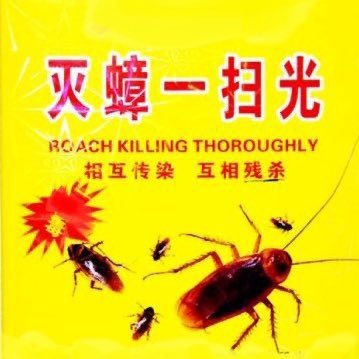 antieastvirus's profile picture