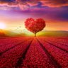 Фото профиля @thetreeoflove