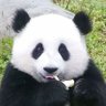 Profilbild von Edgar S