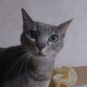 Profilbild von アンラ