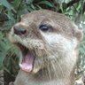 ジョン's profile picture