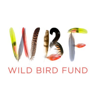 Wild Bird Fund's profile picture