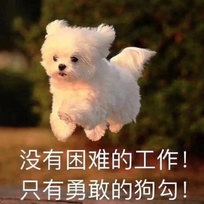 Dcu5u3Z3bzp2VbF's profile picture