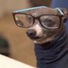 Jorge's profile picture