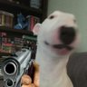 JJ profil fotoğrafı