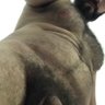 sexbadboy9 profil fotoğrafı