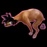 BarDOG's profile picture