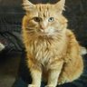 alistairmartin's profile picture